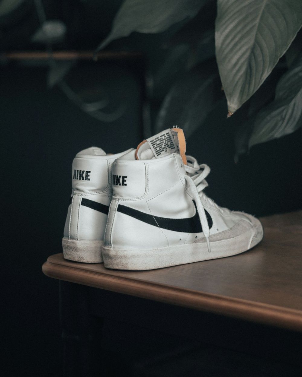 Sepatu Kanvas Harian